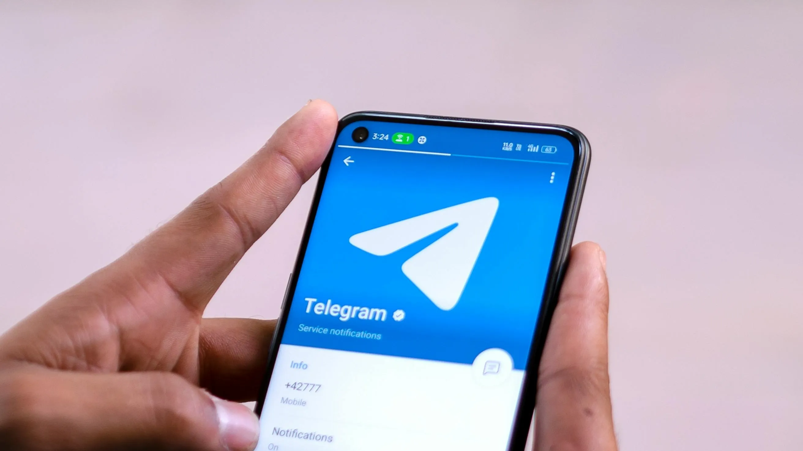 Telegram фото на taspanews.kz от 24 октября 2024 13:36